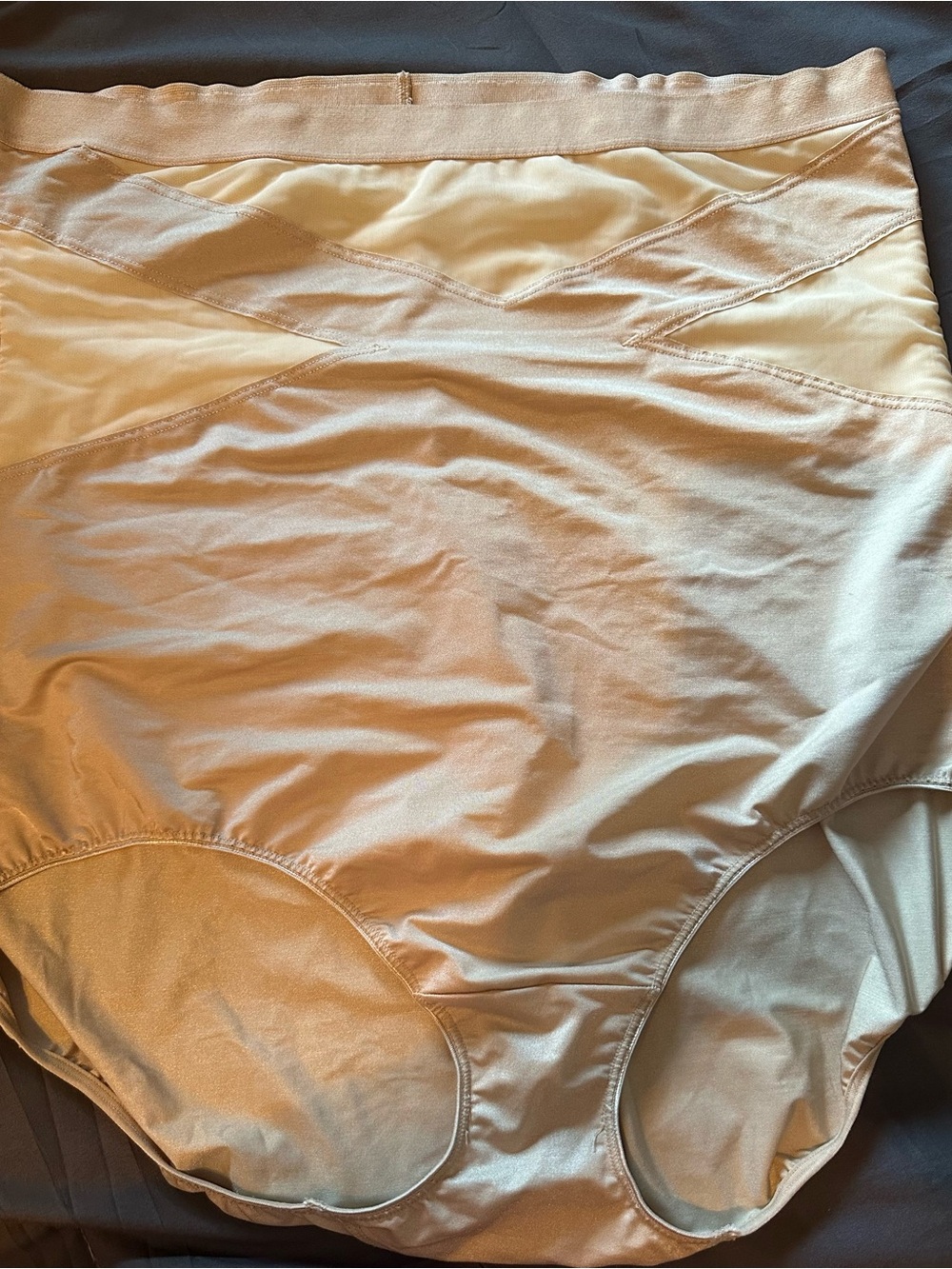 Cacique Ultra High-Waist Shaping Briefs Sz 22/24